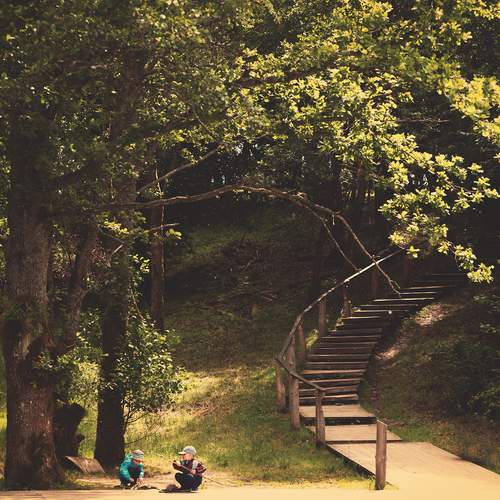 Photo #12327794