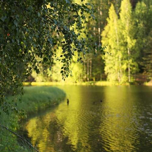 Photo #12328445