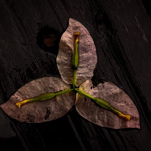Photo #12328609