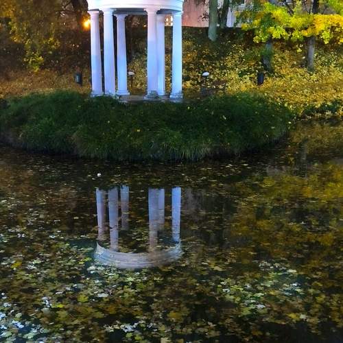 Photo #12328847