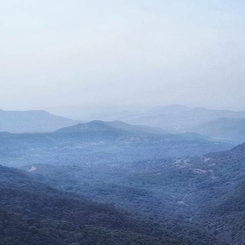 Photo #12328868