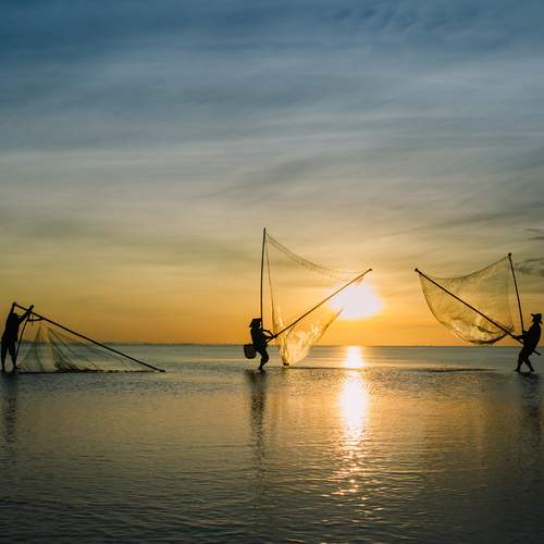 ...