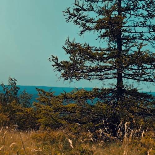 Photo #12329079