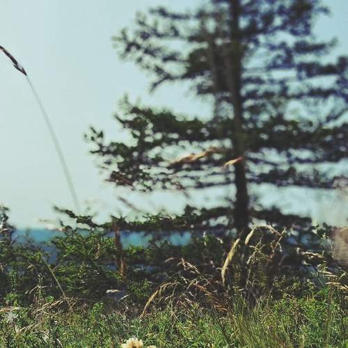 Photo #12329082