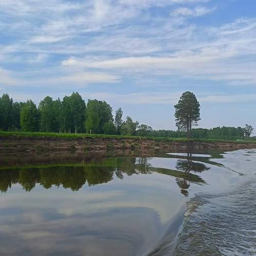Photo #12329112