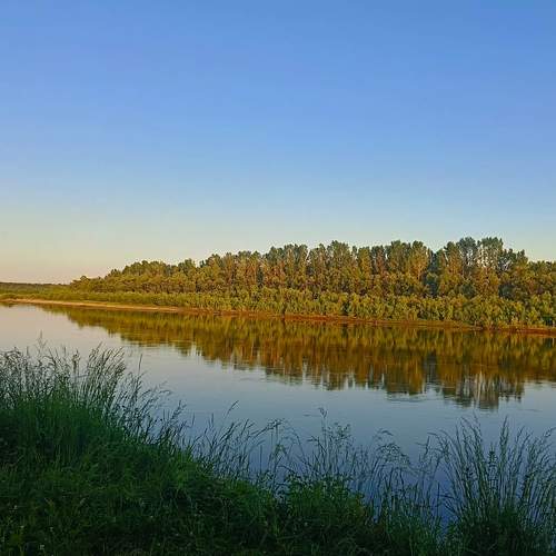 Photo #12329119