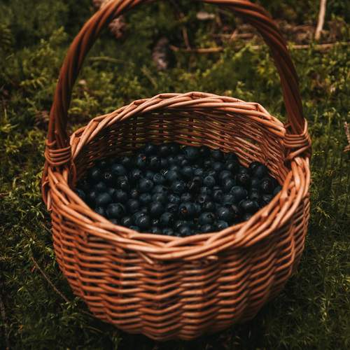 Photo #12329582