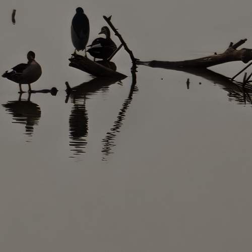 Photo #12329616
