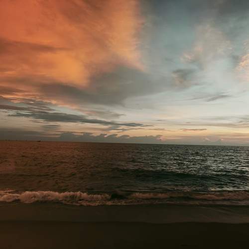 Photo #12329632