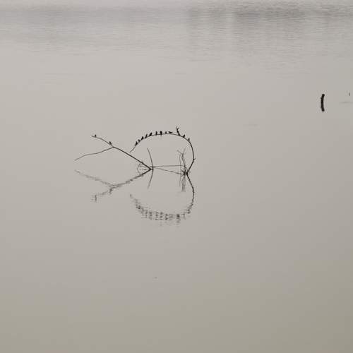 Photo #12329645