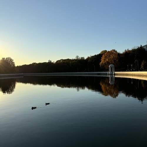 Photo #12329665