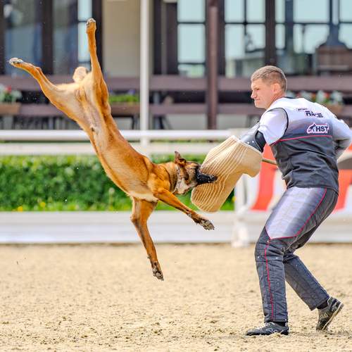 Photo #12329686