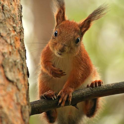 Photo #12329722