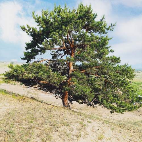 Photo #12329733