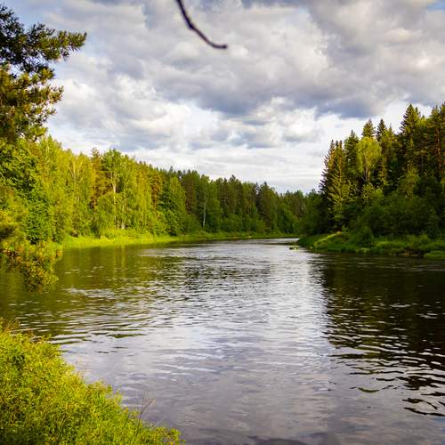 Photo #12329746