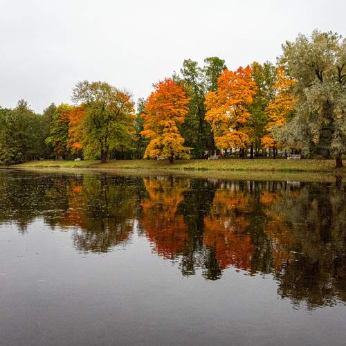 Photo #12329789