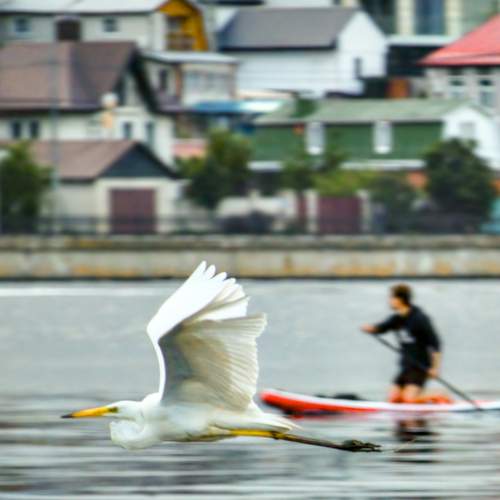 Photo #12329886