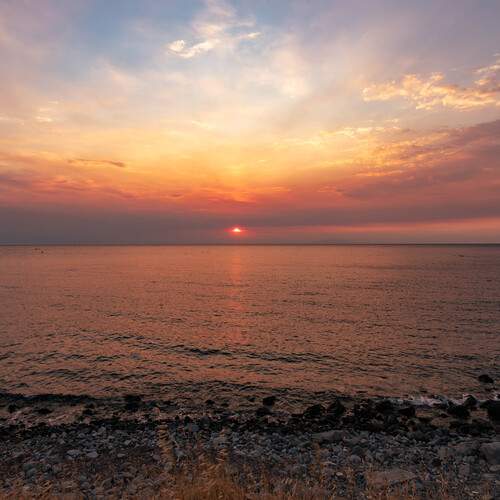 Photo #12329901