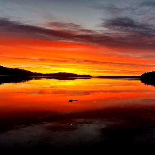 Photo #12330452