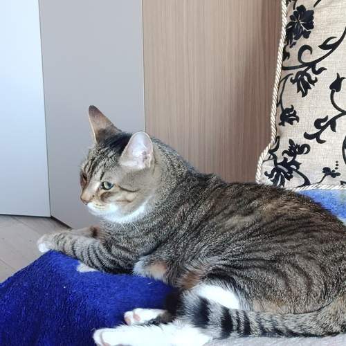 Photo #12330498
