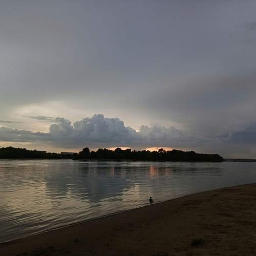 Photo #12331129