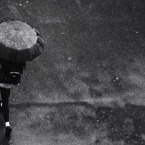 Photo #12331322
