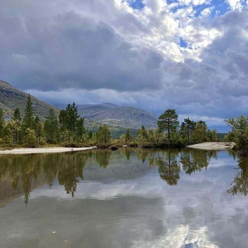 Photo #12331390