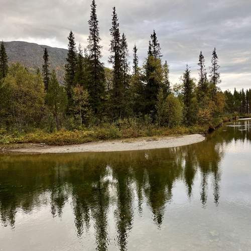 Photo #12331431