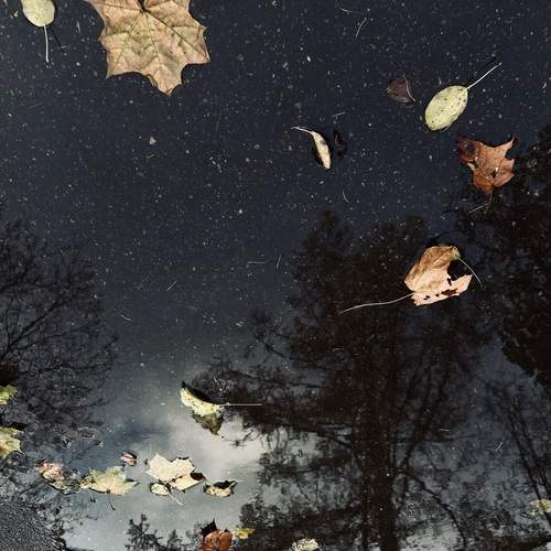 Фотография #12331530