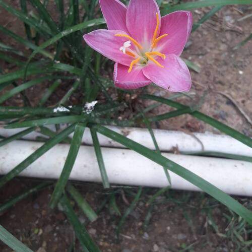 Photo #12331770
