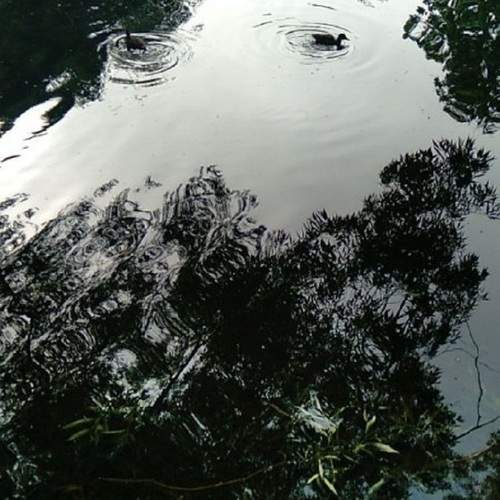 Photo #12331987
