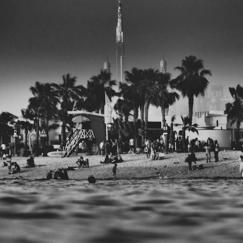 Photo #12332249