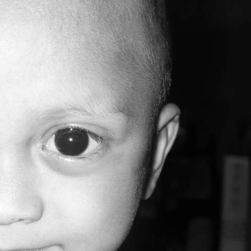 Photo #12332546