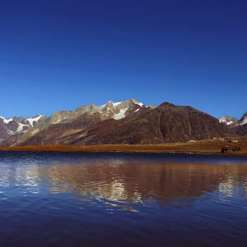 Photo #12332633