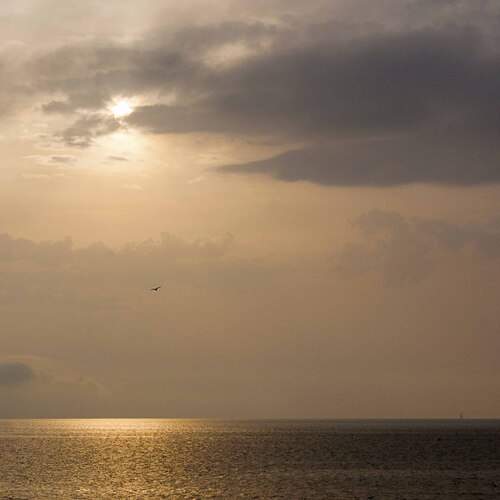 Photo #12332948