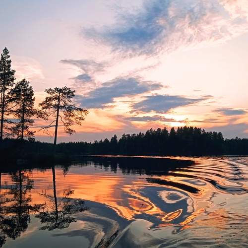 Photo #12332963