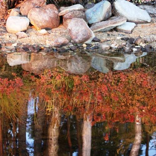 Photo #12332976