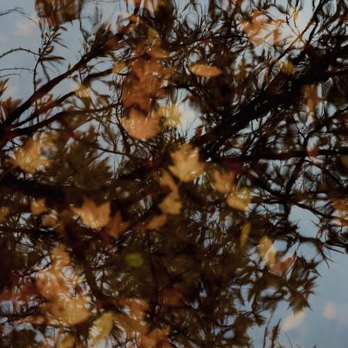Photo #12333020