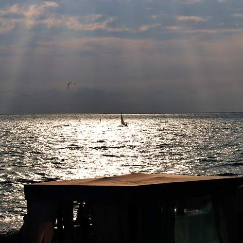 Photo #12333054