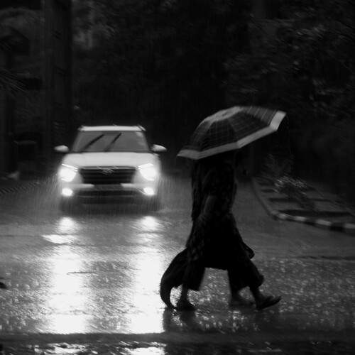 Photo #12333073
