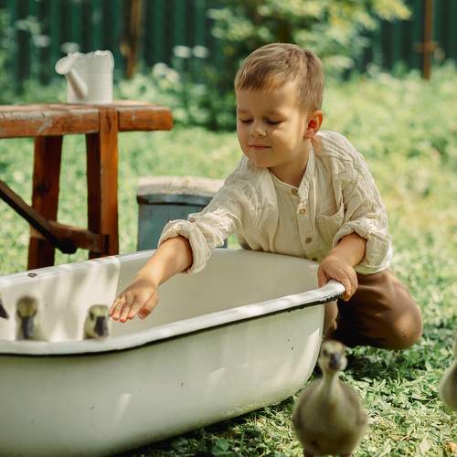 Photo #12333223