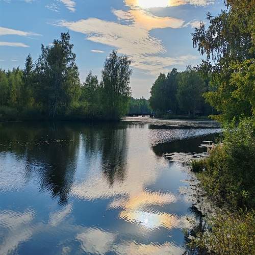 Photo #12333358