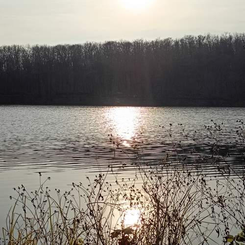 Photo #12333575