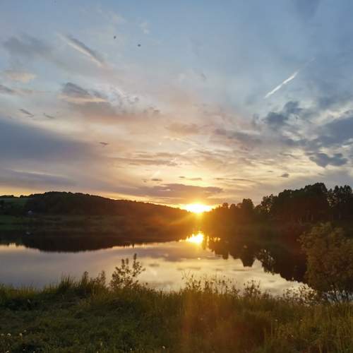 Photo #12333873