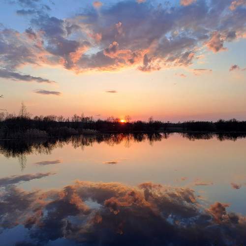 Photo #12333876