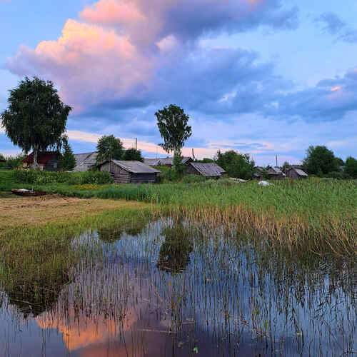 Photo #12333882