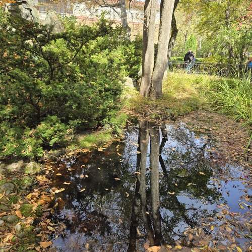 Photo #12334045
