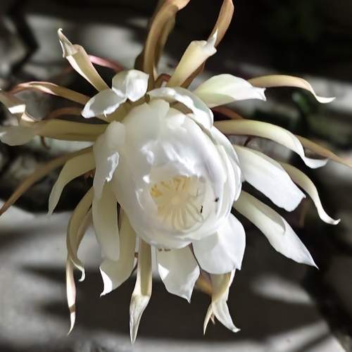 Photo #12334173