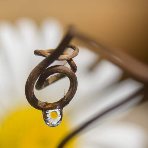 Photo #12334420