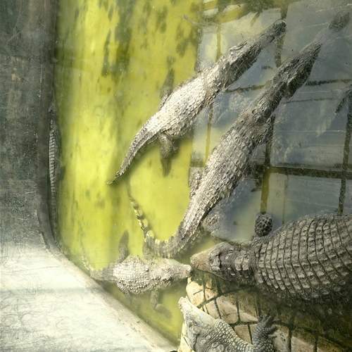 Photo #12334669